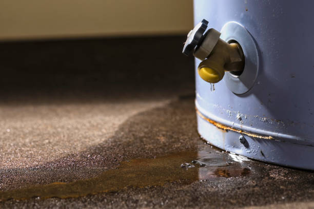Best Flood damage cleanup  in Elephant Butte, NM