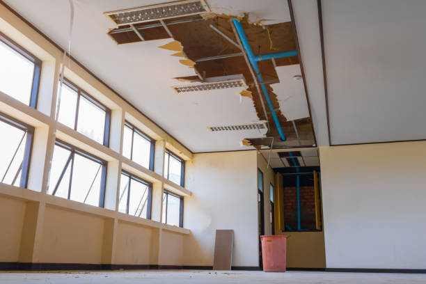 Trusted NM Water damage restoration Experts