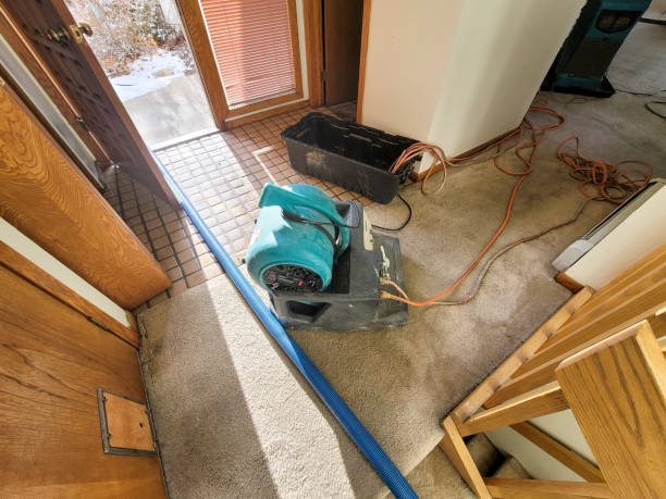 Best Emergency water damage restoration  in Elephant Butte, NM