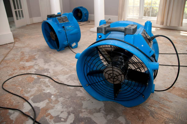 Best Commercial water damage restoration  in Elephant Butte, NM