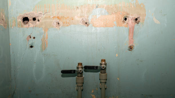 Best Emergency water damage restoration  in Elephant Butte, NM